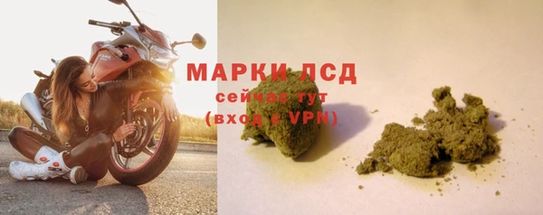 стаф Бугульма