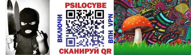 Галлюциногенные грибы Psilocybe  блэк спрут вход  Демидов 